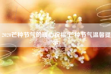 2020芒种节气的暖心祝福(芒种节气温馨提示)