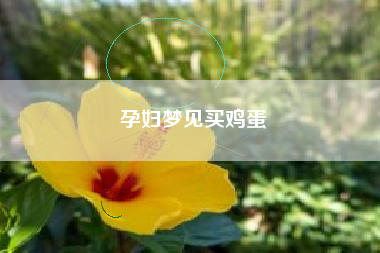 孕妇梦见买鸡蛋