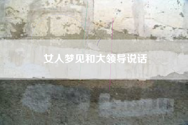 女人梦见和大领导说话
