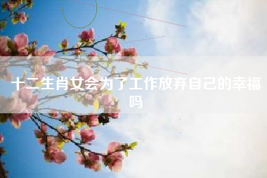 十二生肖女会为了工作放弃自己的幸福吗