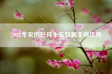 2022年农历三月十五日属羊得作势
