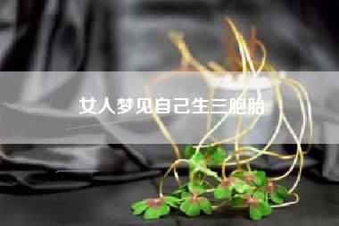 女人梦见自己生三胞胎