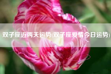 双子座近两天运势(双子座爱情今日运势)