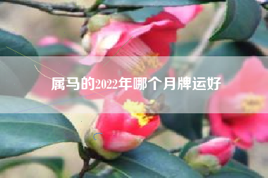 属马的2022年哪个月牌运好