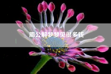 周公解梦梦见很多钱