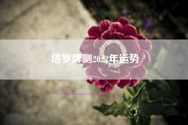 塔罗牌测2022年运势