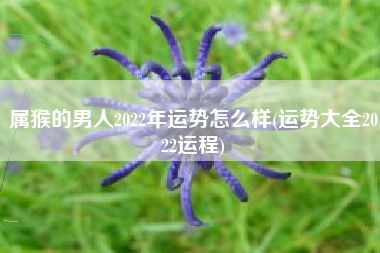 属猴的男人2022年运势怎么样(运势大全2022运程)