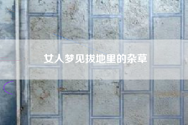 女人梦见拔地里的杂草