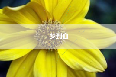 梦到血