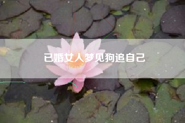 已婚女人梦见狗追自己