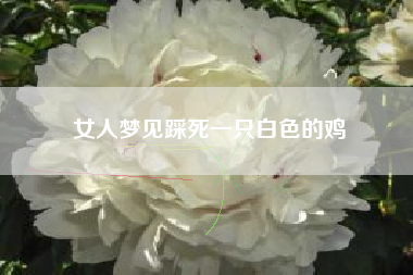 女人梦见踩死一只白色的鸡