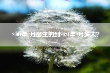 2004年2月出生的到2021年9月多大？