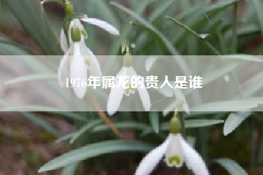 1976年属龙的贵人是谁