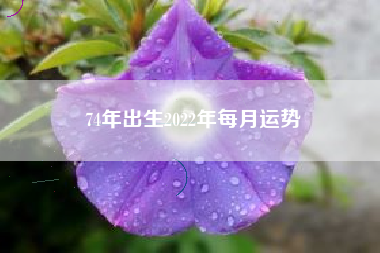 74年出生2022年每月运势