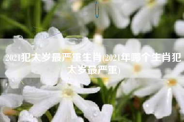2021犯太岁最严重生肖(2021年哪个生肖犯太岁最严重)
