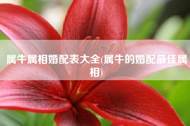 属牛属相婚配表大全(属牛的婚配最佳属相)