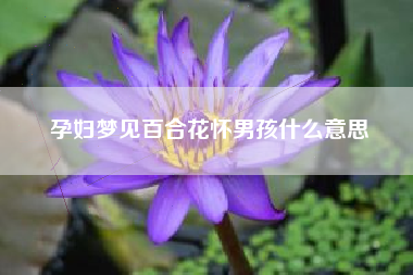 孕妇梦见百合花怀男孩什么意思