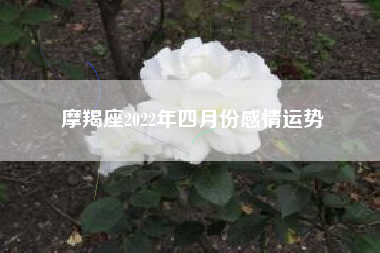 摩羯座2022年四月份感情运势