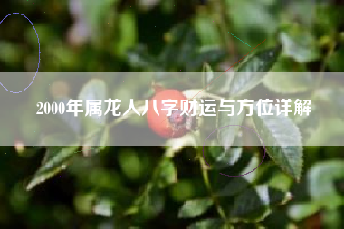 2000年属龙人八字财运与方位详解