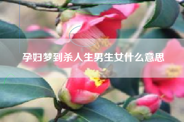 孕妇梦到杀人生男生女什么意思