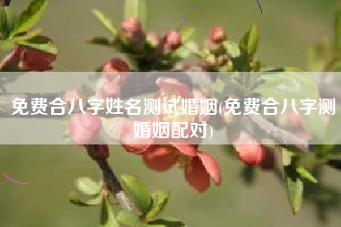 免费合八字姓名测试婚姻(免费合八字测婚姻配对)
