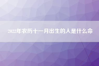 2022年农历十一月出生的人是什么命
