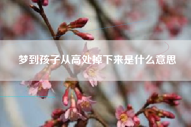 梦到孩子从高处掉下来是什么意思