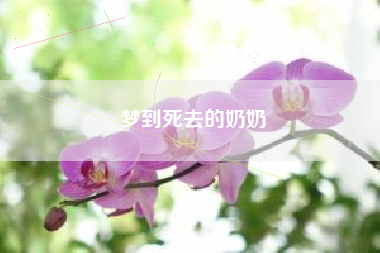 梦到死去的奶奶