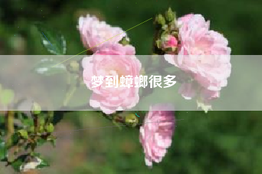 梦到蟑螂很多