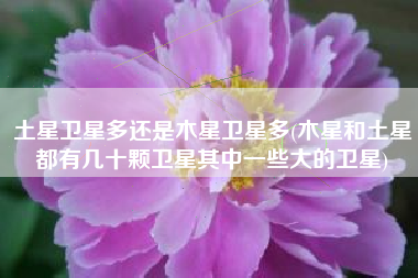土星卫星多还是木星卫星多(木星和土星都有几十颗卫星其中一些大的卫星)