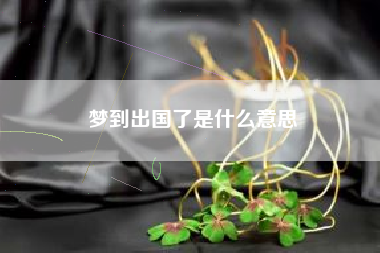 梦到出国了是什么意思