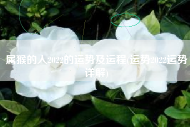 属猴的人2022的运势及运程(运势2022运势详解)