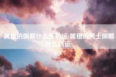 属猪的佩戴什么能转运(属猪的男士佩戴什么转运)
