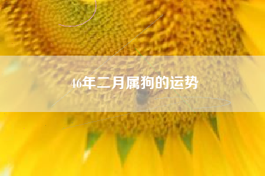 46年二月属狗的运势