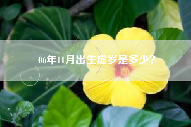 06年11月出生虚岁是多少？
