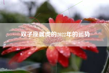 双子座属虎的2022年的运势