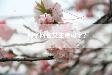 两字网名女生带可字？
