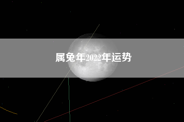 属兔年2022年运势