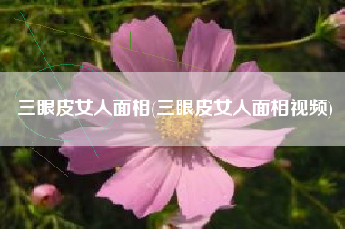 三眼皮女人面相(三眼皮女人面相视频)