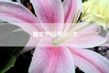 属蛇的运势2022年