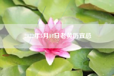 2022年5月14日老黄历宜忌