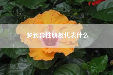 梦到异性朋友代表什么