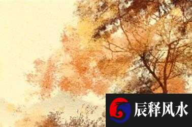 72岁属虎的人本命年有一劫 事业方面受到打击