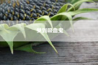 梦到吸血鬼