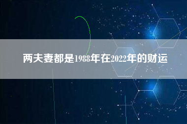 两夫妻都是1988年在2022年的财运