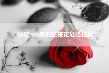 属蛇2022年的烂桃花危险程度