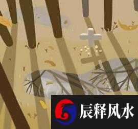 2021年5月19日农历四月初八出生的女孩好吗