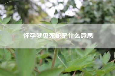 怀孕梦见死蛇是什么意思