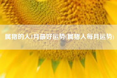 属猪的人1月最好运势(属猪人每月运势)