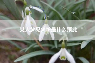女人梦见火炉是什么预兆